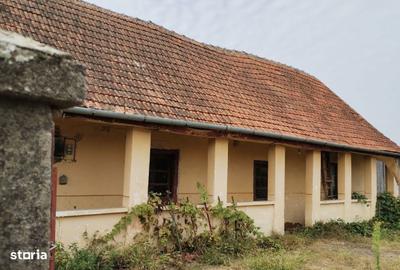 Casă cu 4 camere cu Teren 6153 Mp în Sinersig - 7