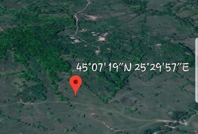 Teren de 3013 mp, în Valea - 1