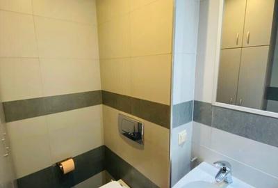 Apartament cu 3 camere decomandat, mobilat în Iancu Nicolae - 19