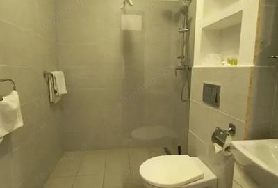 Spațiu comercial, de 800 mp, în Brâncoveanu - 10