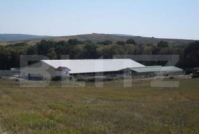 Spațiu comercial, de 3,000 mp, în Dej - 8