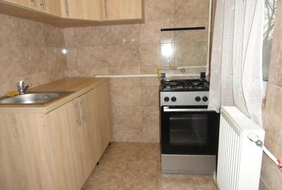 Apartament 1 camera la parter intr-un bloc de apartamente in Vlaicu, renovat, mobilat - 7