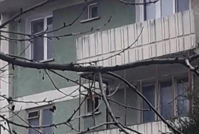 Garsoniera de inchiriat - 1