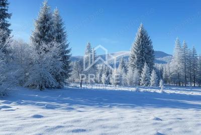 Teren de 500 mp, în Galbena - 2