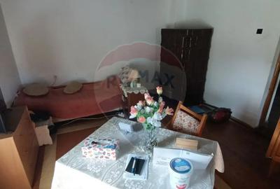 Casă cu 3 camere cu Teren 3000 Mp în Copalnic - 8