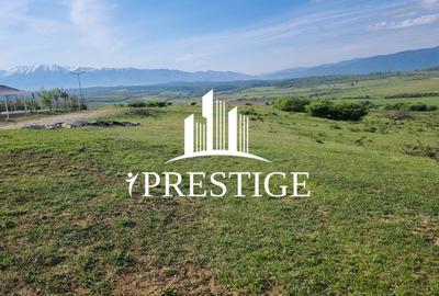 Teren agricol extravilan de 2000 mp, în Ștefan cel Mare - 1