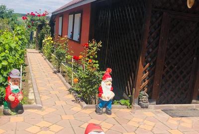 Casă cu Teren 2750 Mp în Vulpeni - 10