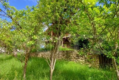 Casa 3 camere si teren 4873 mp in Pietroasa, Moldovenesti - 7