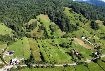 Teren intravilan 6527 mp Stulpicani - Bucovina Teren intravilan 6527 mp Stulpicani - Bucovina - 4