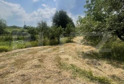Teren de 3200 mp, în Budacu de Jos - 6