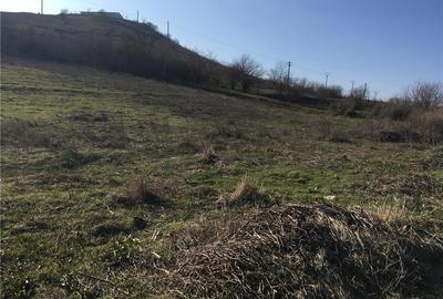 Teren de 3000 mp, în Mahmudia - 5