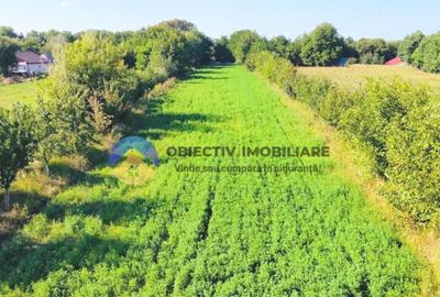 TEREN intravilan 6764 mp DRAGOMIRESTI - VAD - 8