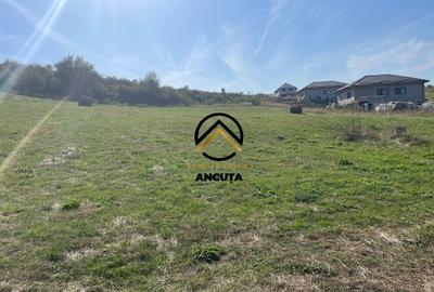 Teren agricol intravilan de 2900 mp, în Chinteni