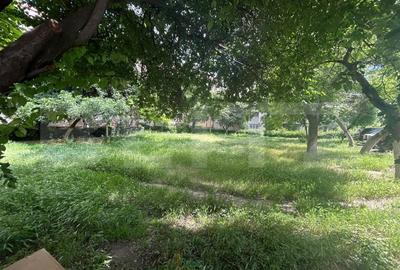 Teren Construcții intravilan de 232 mp, în Rovine - 2