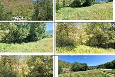 Teren 5000 mp, Loc. Sieu, Jud Maramures - 2