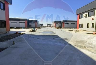 Hale noi de inchiriat Domnesti - putere instalata pana la 600kva - 19