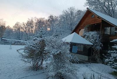 Proprietate deosebita,pe malul Teleajenului, de vanzare - 5