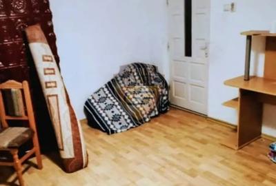 Casa 5 camere, PALAZU MARE,  204 mp cu teren 904 mp - 9