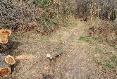 Vand teren intravilan livada - 2