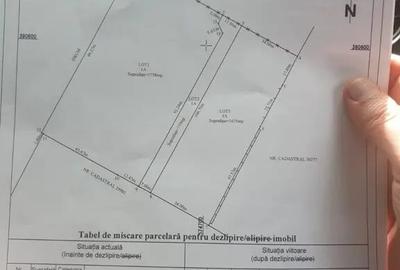 Teren de 9928 mp, în Păulești - 1