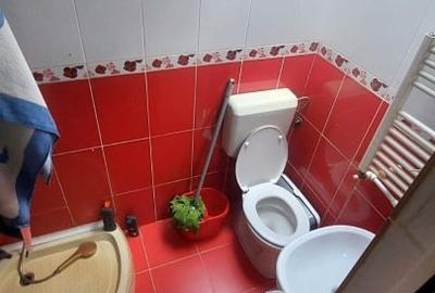 Garsonieră mansardată – 24 mp – Splaiul Nicolae Titulescu - 5