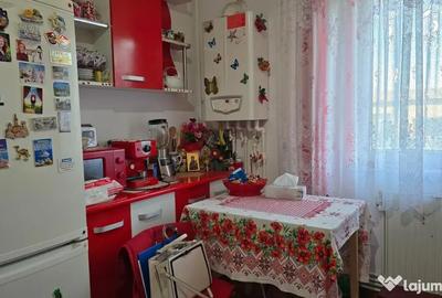 Apartament cu 3 camere decomandat în Minerul - 13