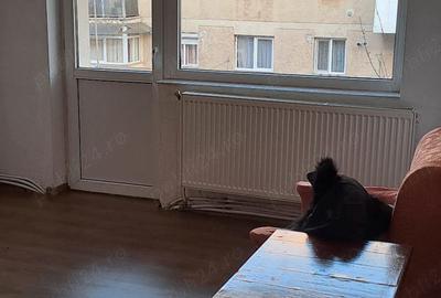 Apartament de vanzare in Bumbesti-Jiu - 8