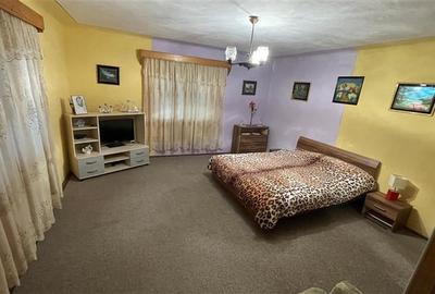 Casă individuală cu 4 camere cu Teren 2500 Mp în Ulieș - 30