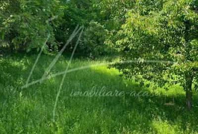 Teren de 1740 mp cu casa intabulata in PH-Provita de Sus - 4