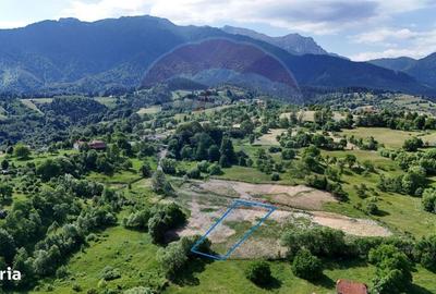 Spațiu comercial, în Bran - 6