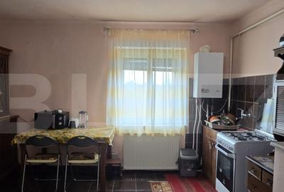 Casa de vanzare cu 2 camere, 77 mp, zona Botizului - 1