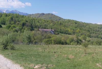 Vanzare 1266 mp teren superb Cheile Rasnoavei la munte langa padure si pensiuni - 13