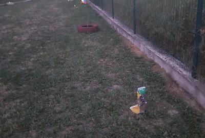 Casă cu 1 camere în Băbana - 8