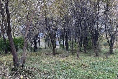 Spațiu comercial, în Feleacu - 3