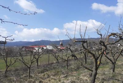 Spațiu comercial, în Filioara - 7