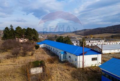 Spațiu industrial, de 800 mp, în Traian - 9