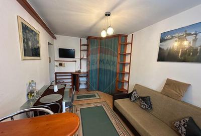 Apartament 1 camera - DE INCHIRIAT - 2