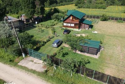 Casă cu 5 camere cu Teren 6000 Mp în Bârla - 6