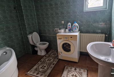 Vila P+E si teren intravilan 1,5Ha,cu zavoi+iaz,lac peste si livada-investitie - 13