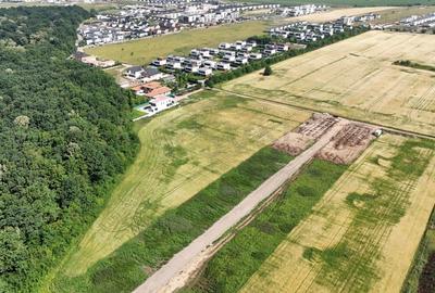 REL4000999 Teren l in proximitatea Amber Forest - 7