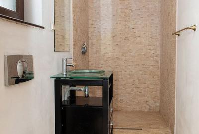 Casă individuală cu 11 camere cu Piscina în Apateu - 32