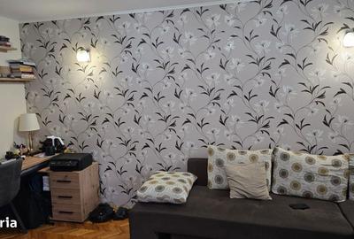 Apartament cu 2 camere decomandat în Titu Maiorescu - 4