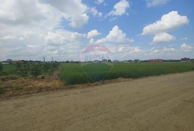 Teren intravilan 6,600mp Dumbraveni / Strada Principala spre Veresti - 16