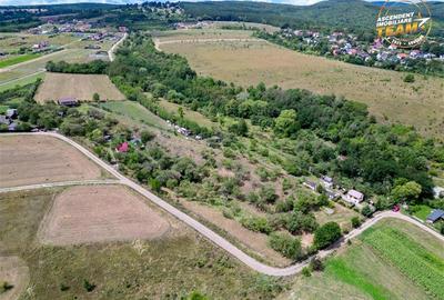 Teren Construcții extravilan de 4500 mp, în Sâncraiu - 3