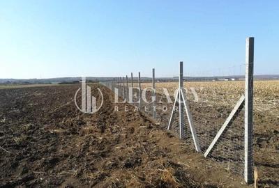 Teren agricol intravilan de 30101 mp, în Tudor Vladimirescu - 1