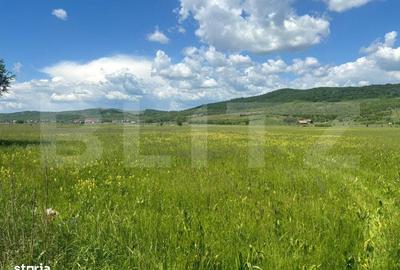 Spațiu comercial, în Șintereag - 2