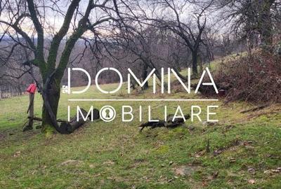 Spațiu comercial, în Mușetești - 3