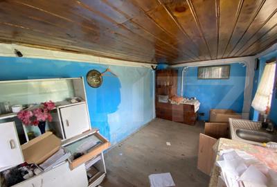 Casa batraneasca cu 6000 mp teren Schitul Duca - 3