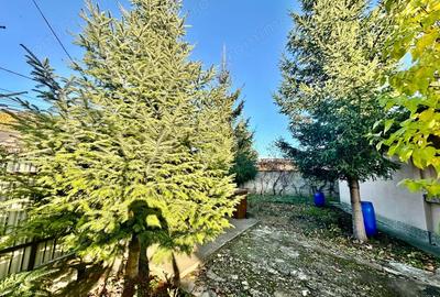 De Vanzare , TEREN in suprafata de 1900 mp , cu CASA BATRANEASCA - 7