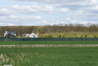 Spațiu comercial, în Balotești - 7